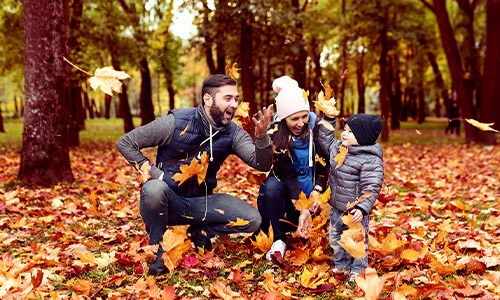 Family playing with autumn leaves in a colorful forest.